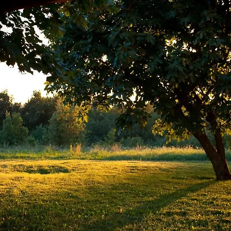 Cascina Bellaria Gospodarstwo agroturystyczne Sezzadio