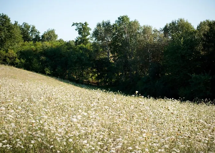 ファームステイ Cascina Bellaria