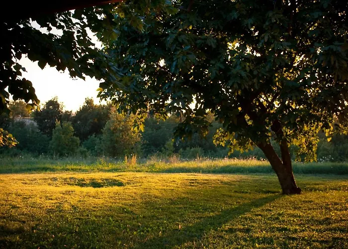 Cascina Bellaria ファームステイ Sezzadio